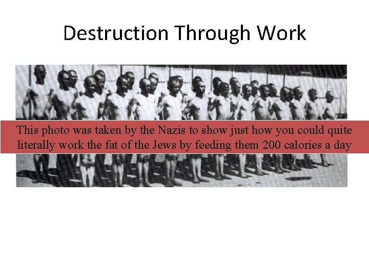 Destruction Through Work This photo was taken by the Nazis to show just how Destruction Through Work This photo was taken by the Nazis to show just how