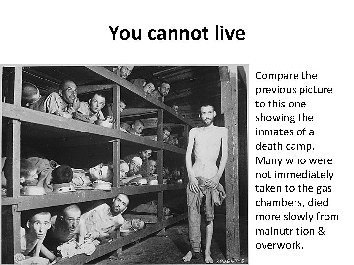 You cannot live Compare the previous picture to this one showing the inmates of You cannot live Compare the previous picture to this one showing the inmates of