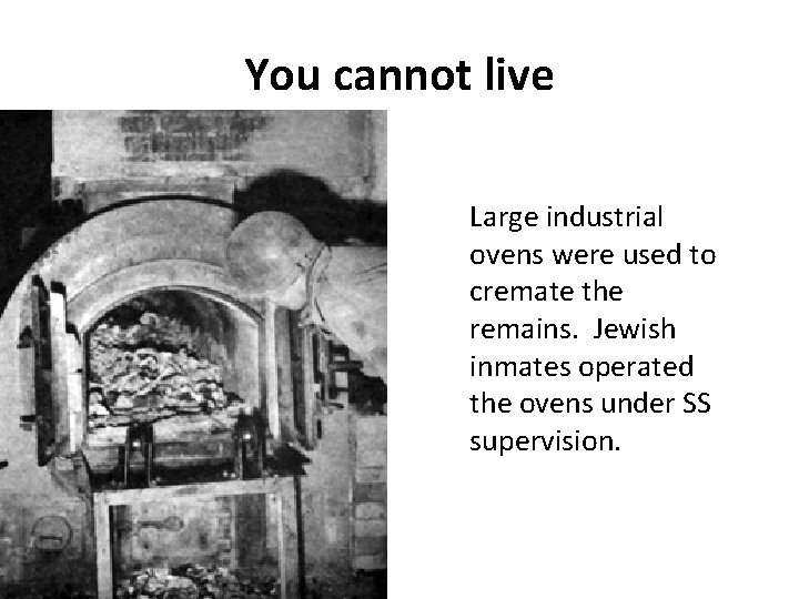 You cannot live Large industrial ovens were used to cremate the remains. Jewish inmates You cannot live Large industrial ovens were used to cremate the remains. Jewish inmates
