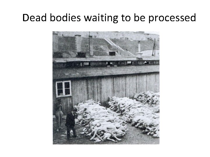 Dead bodies waiting to be processed Dead bodies waiting to be processed