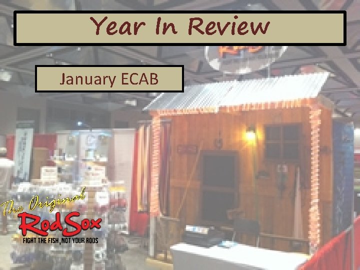 Year In Review January ECAB 