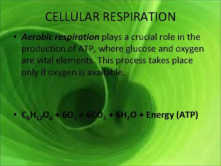 CELLULAR RESPIRATION • Aerobic respiration plays a crucial role in the production of ATP,