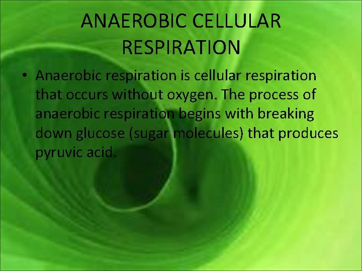 ANAEROBIC CELLULAR RESPIRATION • Anaerobic respiration is cellular respiration that occurs without oxygen. The