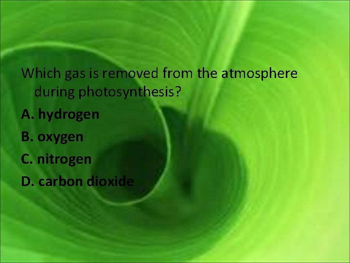 Which gas is removed from the atmosphere during photosynthesis? A. hydrogen B. oxygen C.