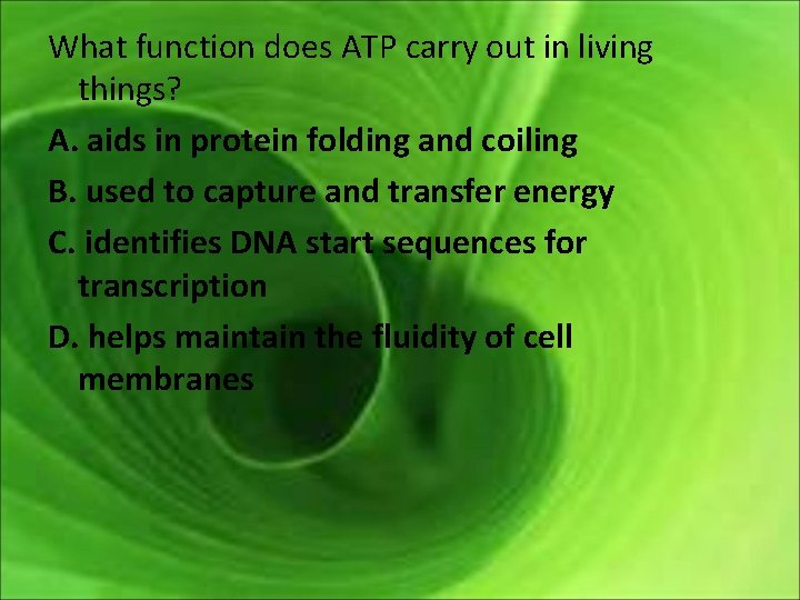 What function does ATP carry out in living things? A. aids in protein folding