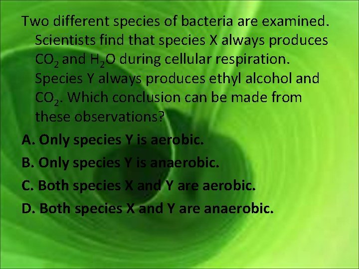Two different species of bacteria are examined. Scientists find that species X always produces