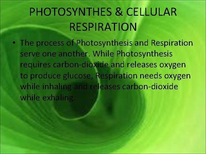 PHOTOSYNTHES & CELLULAR RESPIRATION • The process of Photosynthesis and Respiration serve one another.