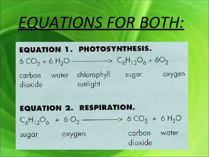 EQUATIONS FOR BOTH: 