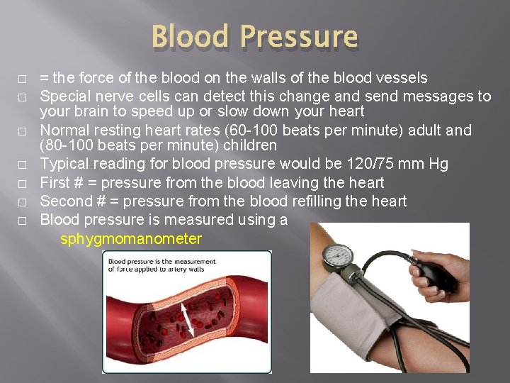 Blood Pressure � � � � = the force of the blood on the