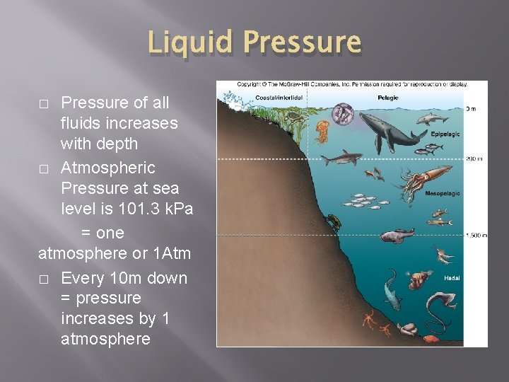 Liquid Pressure of all fluids increases with depth � Atmospheric Pressure at sea level