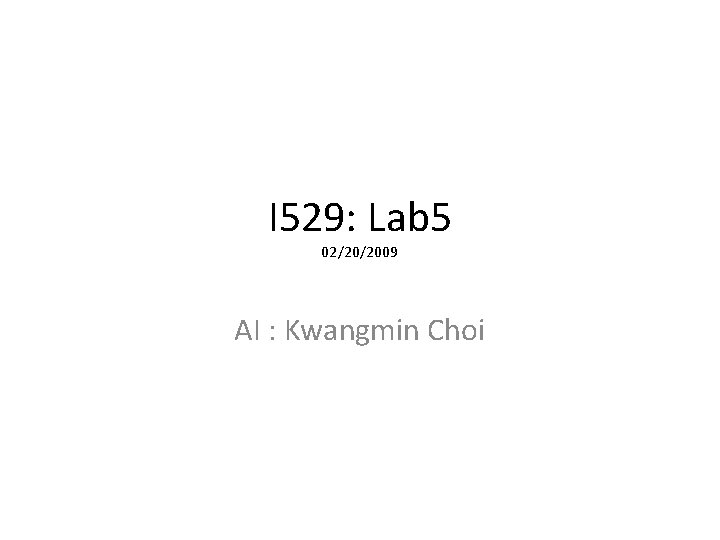 I 529: Lab 5 02/20/2009 AI : Kwangmin Choi 