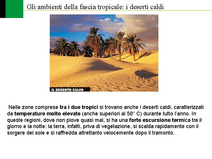 Gli ambienti della fascia tropicale: i deserti caldi Nelle zone comprese tra i due