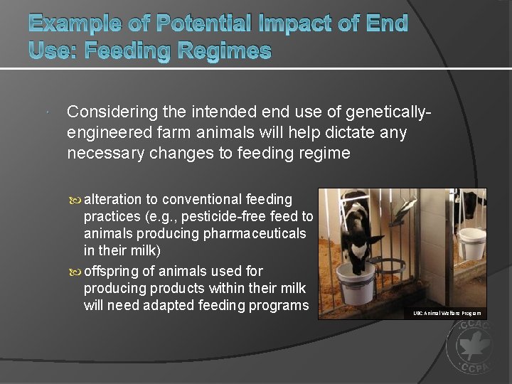 Example of Potential Impact of End Use: Feeding Regimes Considering the intended end use