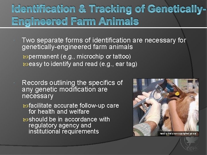 Identification & Tracking of Genetically. Engineered Farm Animals Two separate forms of identification are