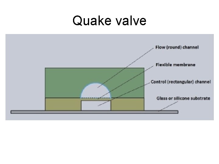 Quake valve 