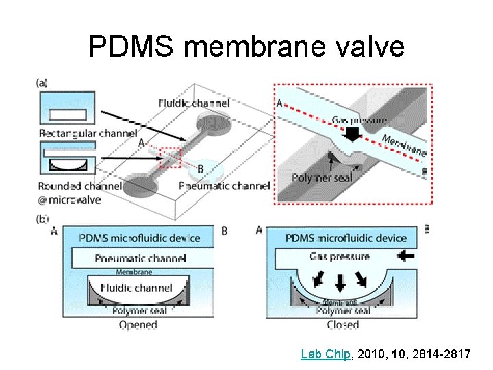 PDMS membrane valve Lab Chip, 2010, 2814 -2817 