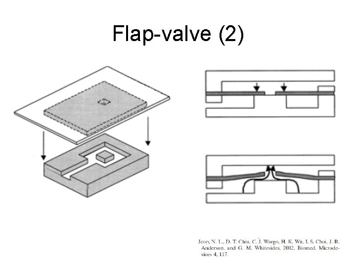 Flap-valve (2) 