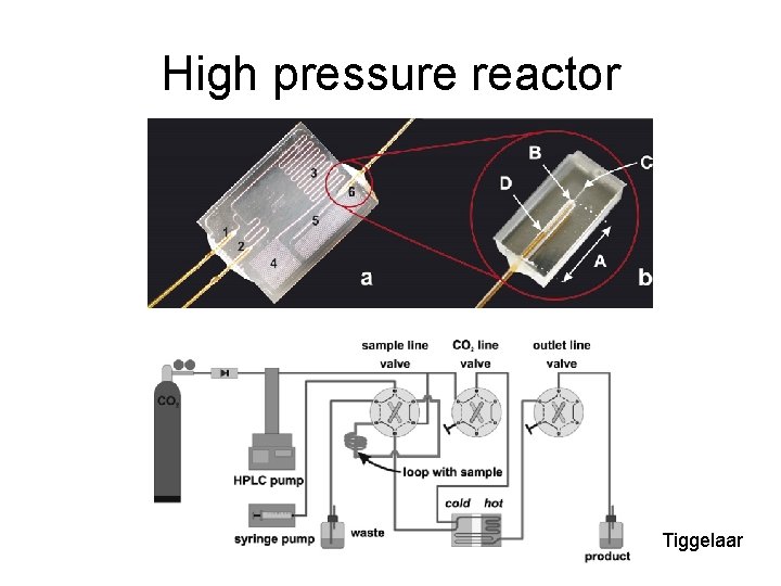 High pressure reactor Tiggelaar 