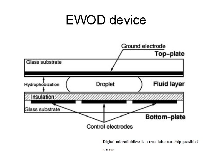 EWOD device 