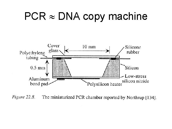 PCR DNA copy machine 