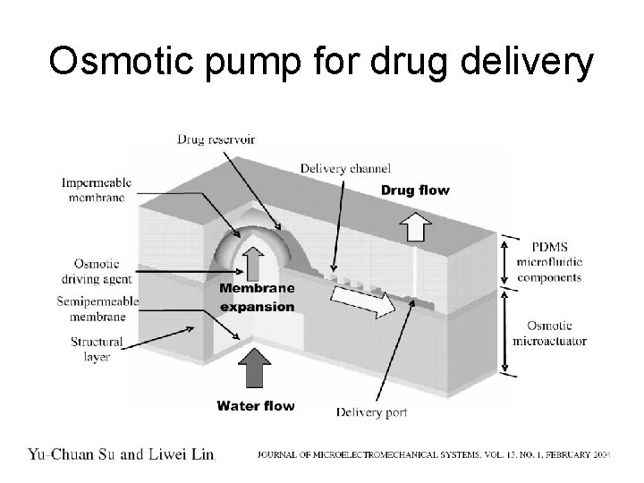 Osmotic pump for drug delivery 