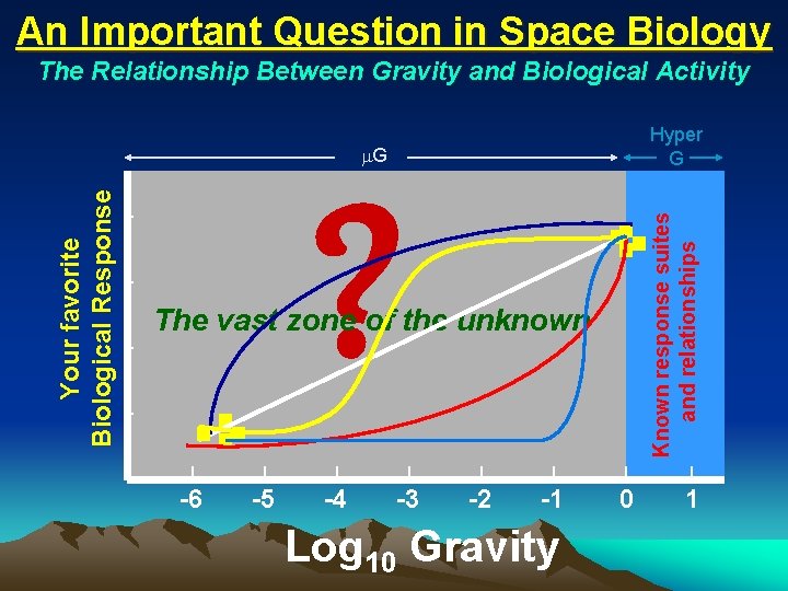 An Important Question in Space Biology The Relationship Between Gravity and Biological Activity Hyper