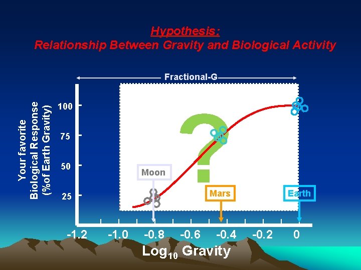 Hypothesis: Relationship Between Gravity and Biological Activity Your favorite Biological Response (%of Earth Gravity)