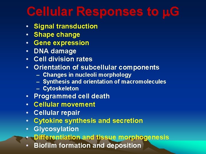 Cellular Responses to m. G • • • Signal transduction Shape change Gene expression