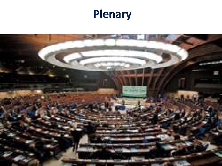 Plenary 2/20/2021 