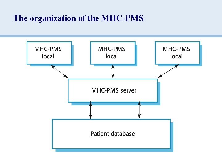 The organization of the MHC-PMS 
