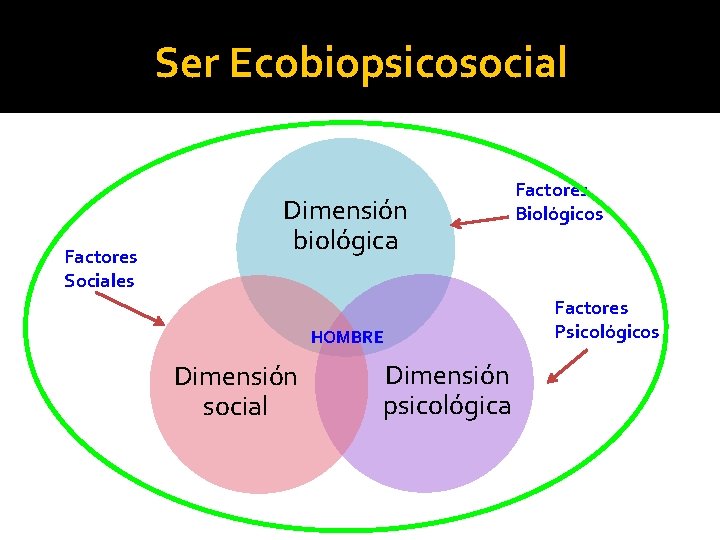 Ser Ecobiopsicosocial Factores Sociales Dimensión biológica Factores Biológicos HOMBRE Dimensión social Dimensión psicológica Factores