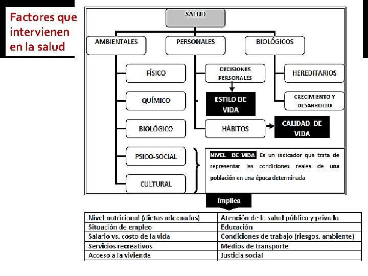 Factores que intervienen en la salud 