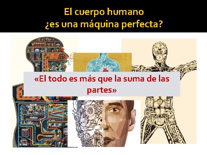 El cuerpo humano ¿es una máquina perfecta? «El todo es más que la suma
