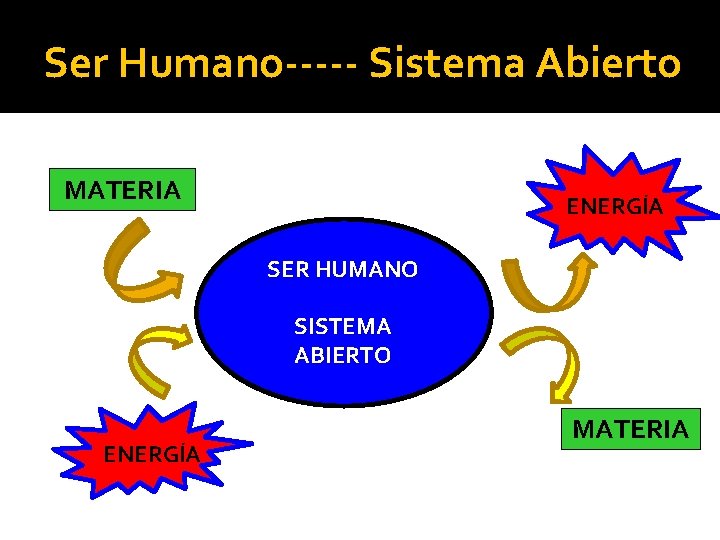 Ser Humano----- Sistema Abierto MATERIA ENERGÍA SER HUMANO SISTEMA ABIERTO ENERGÍA MATERIA 