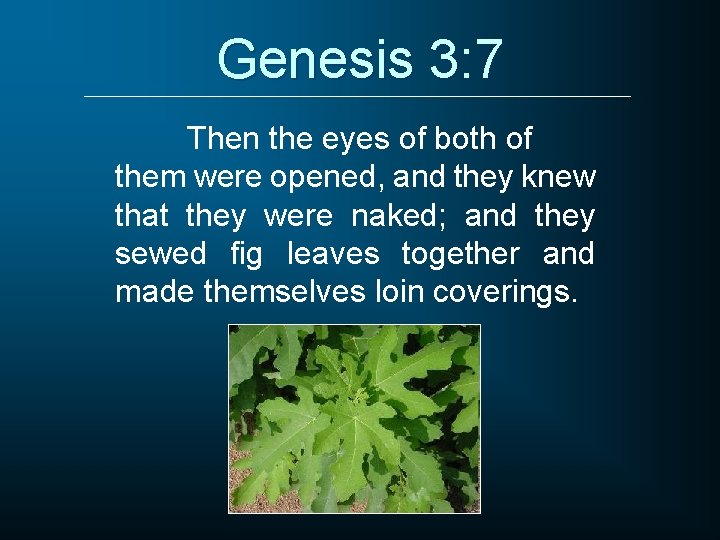 Genesis 3: 7 Then the eyes of both of them were opened, and they