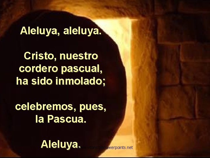 Aleluya, aleluya. Cristo, nuestro cordero pascual, ha sido inmolado; celebremos, pues, la Pascua. Aleluya.