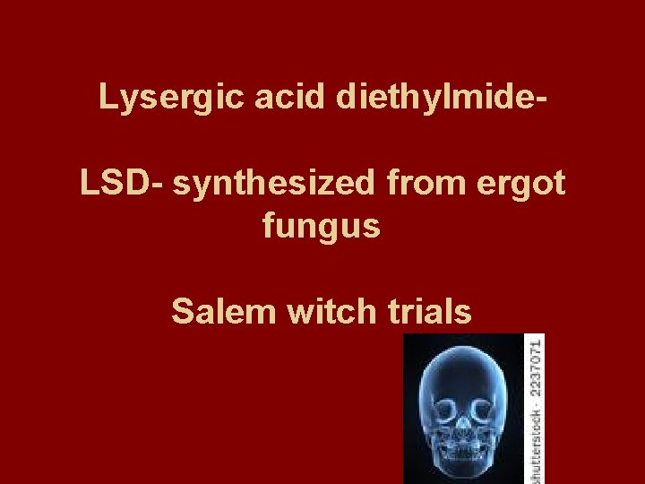 Lysergic acid diethylmide. LSD- synthesized from ergot fungus Salem witch trials 