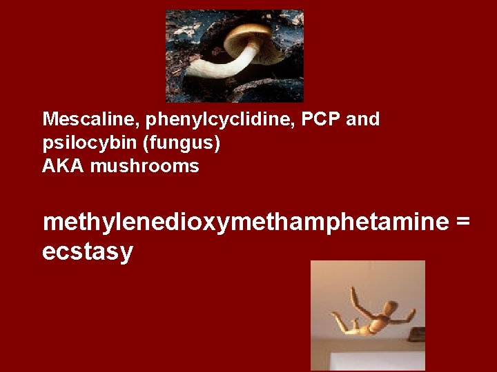 Mescaline, phenylcyclidine, PCP and psilocybin (fungus) AKA mushrooms methylenedioxymethamphetamine = ecstasy 