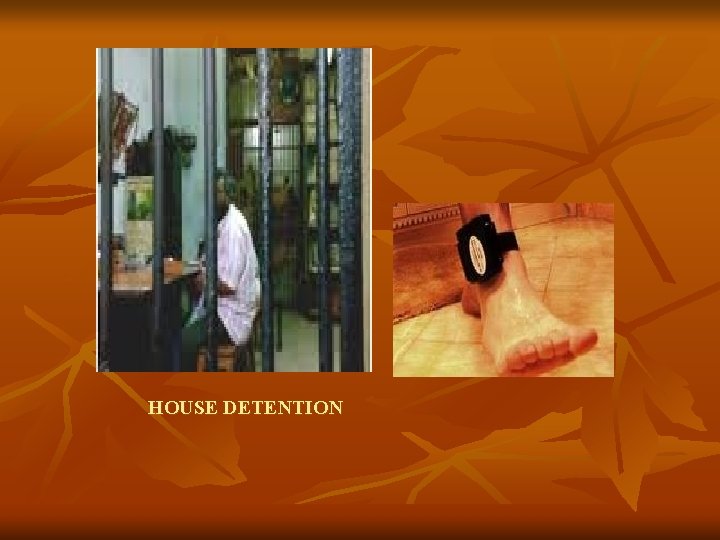 HOUSE DETENTION HOUSE DETENTION