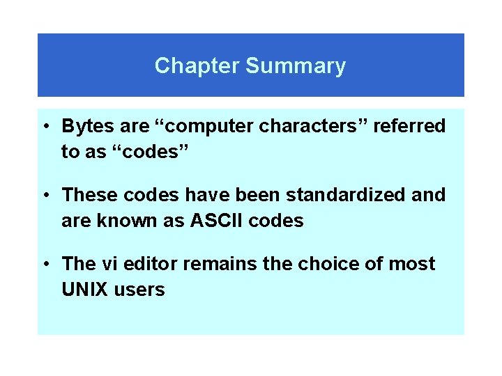 Chapter Summary • Bytes are “computer characters” referred to as “codes” • These codes