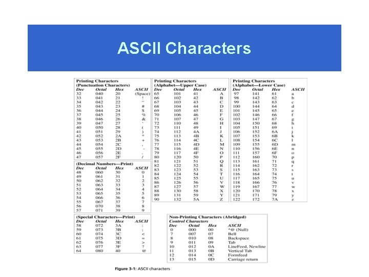 ASCII Characters 