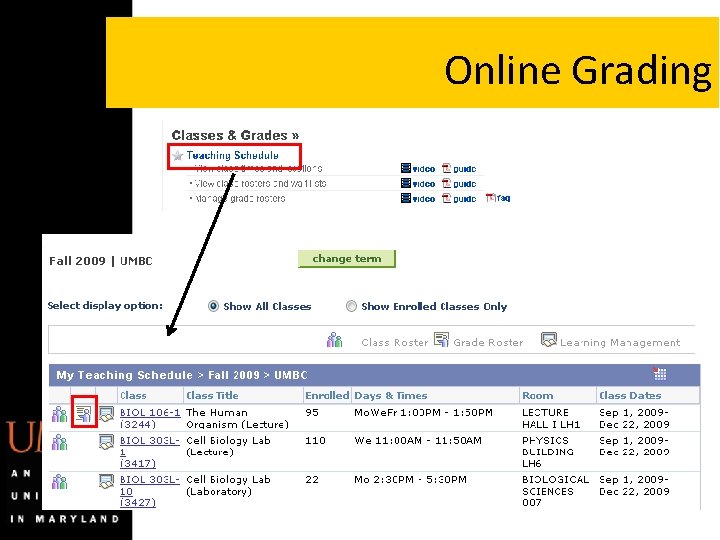 Online Grading Online Grading