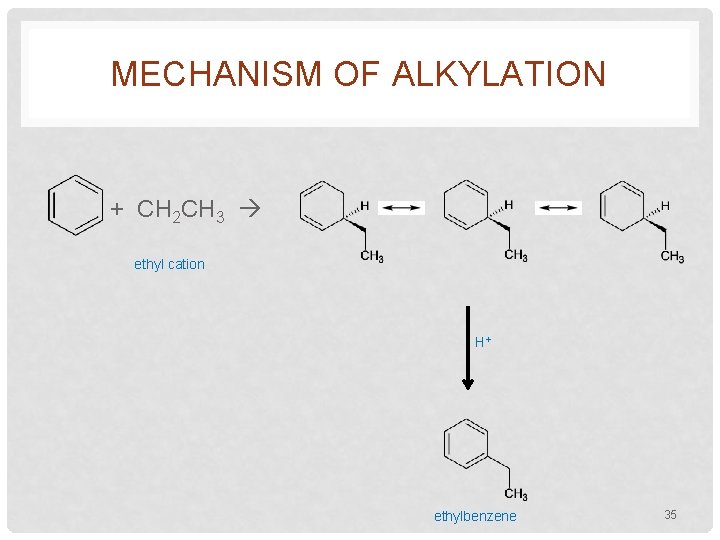 MECHANISM OF ALKYLATION + CH 2 CH 3 ethyl cation H+ ethylbenzene 35 