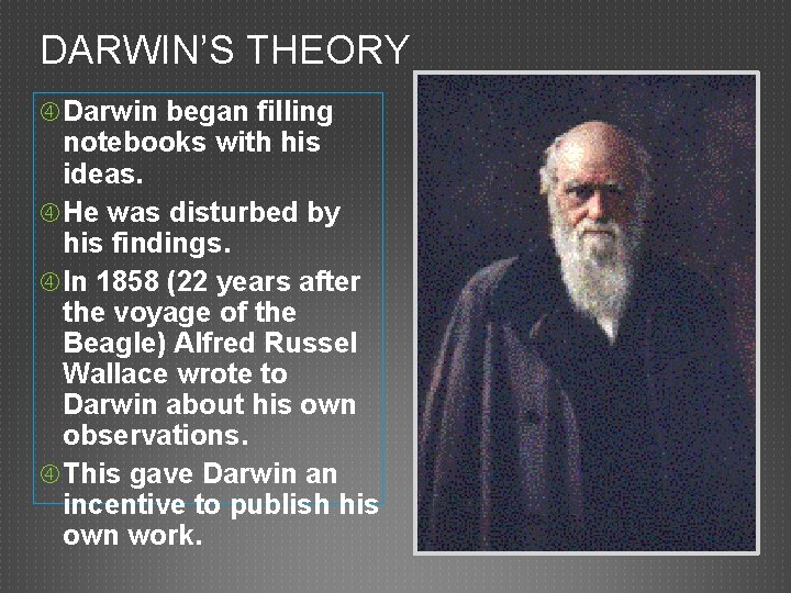 DARWIN’S THEORY Darwin began filling notebooks with his ideas. He was disturbed by his