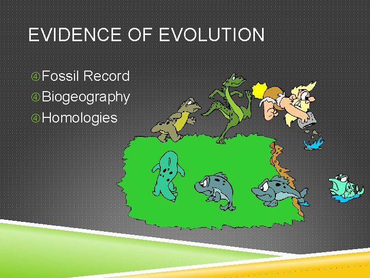 EVIDENCE OF EVOLUTION Fossil Record Biogeography Homologies 