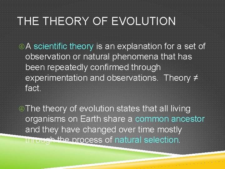 THE THEORY OF EVOLUTION A scientific theory is an explanation for a set of