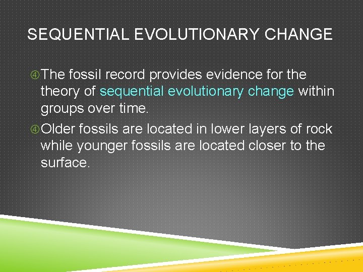 SEQUENTIAL EVOLUTIONARY CHANGE The fossil record provides evidence for theory of sequential evolutionary change