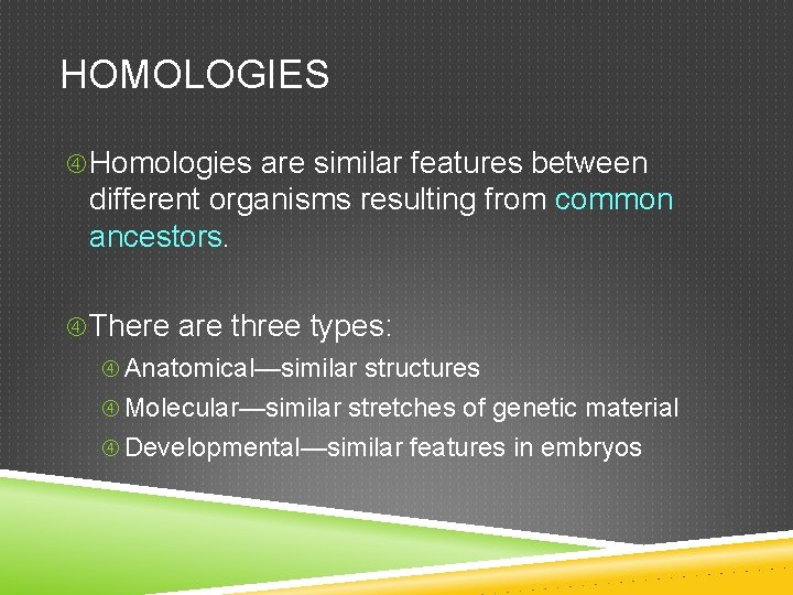 HOMOLOGIES Homologies are similar features between different organisms resulting from common ancestors. There are