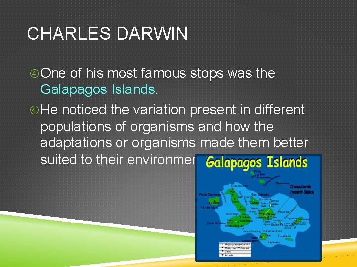 CHARLES DARWIN One of his most famous stops was the Galapagos Islands. He noticed