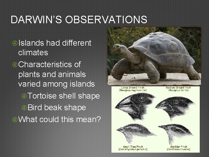 DARWIN’S OBSERVATIONS Islands had different climates Characteristics of plants and animals varied among islands